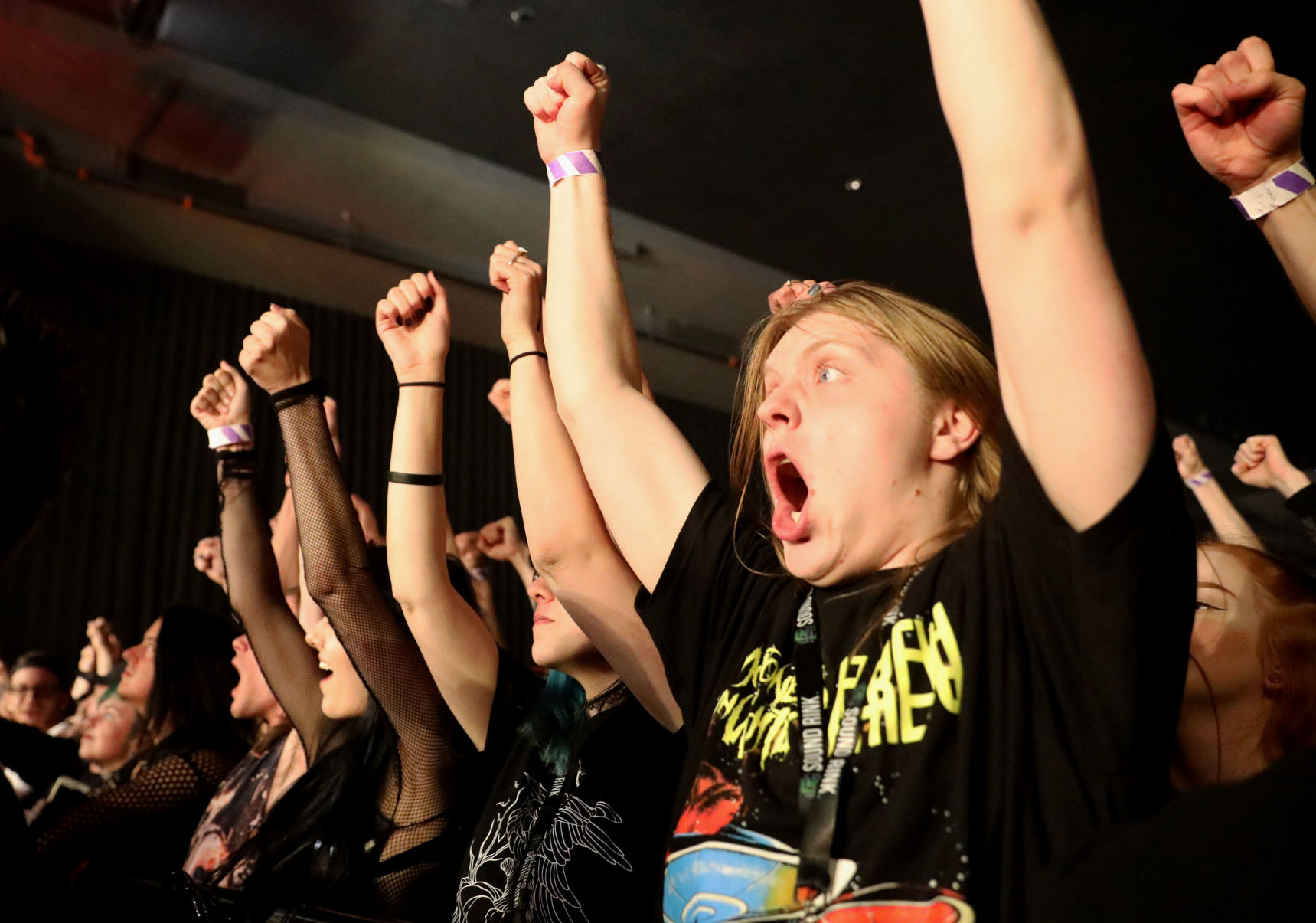 Spring Invasion Tour Photo No. 2